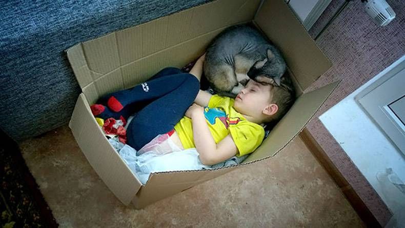 Gewoon een verzameling hilarische foto's #829