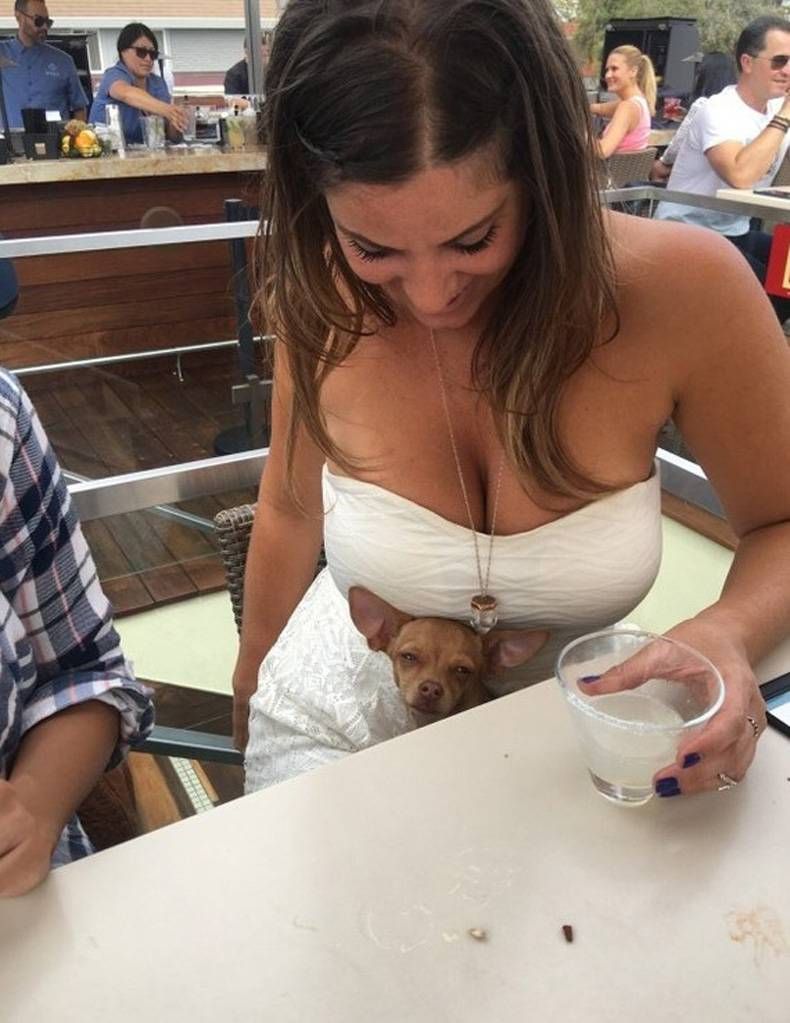 Gewoon een verzameling hilarische foto's #721