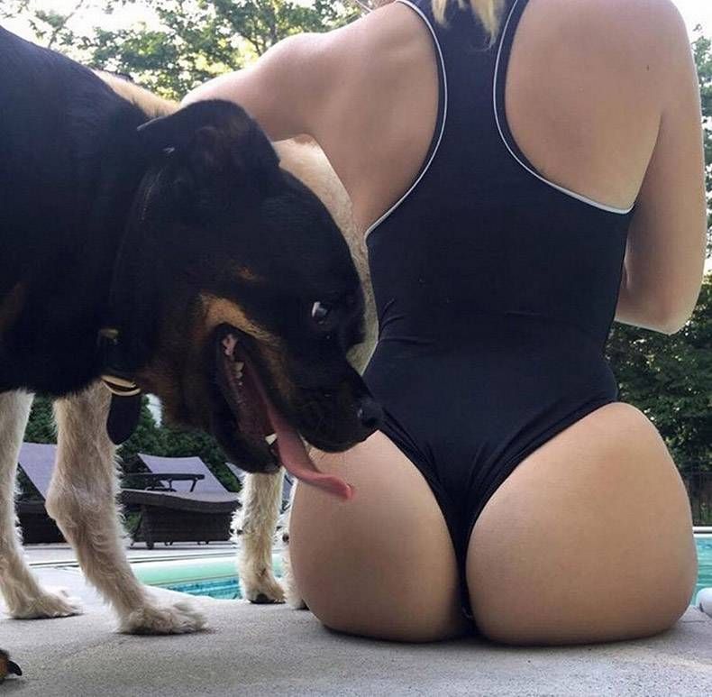 Pix Dump #1000 Special: Gewoon een verzameling foto's van dieren