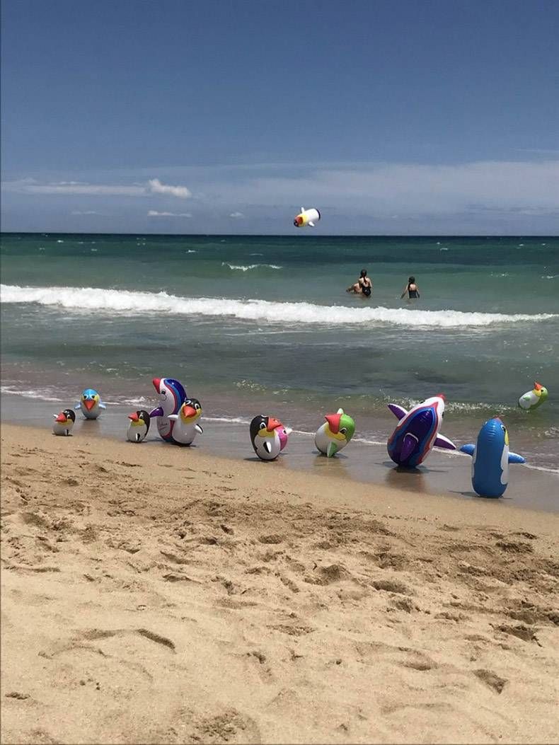 Gewoon een verzameling hilarische foto's #992