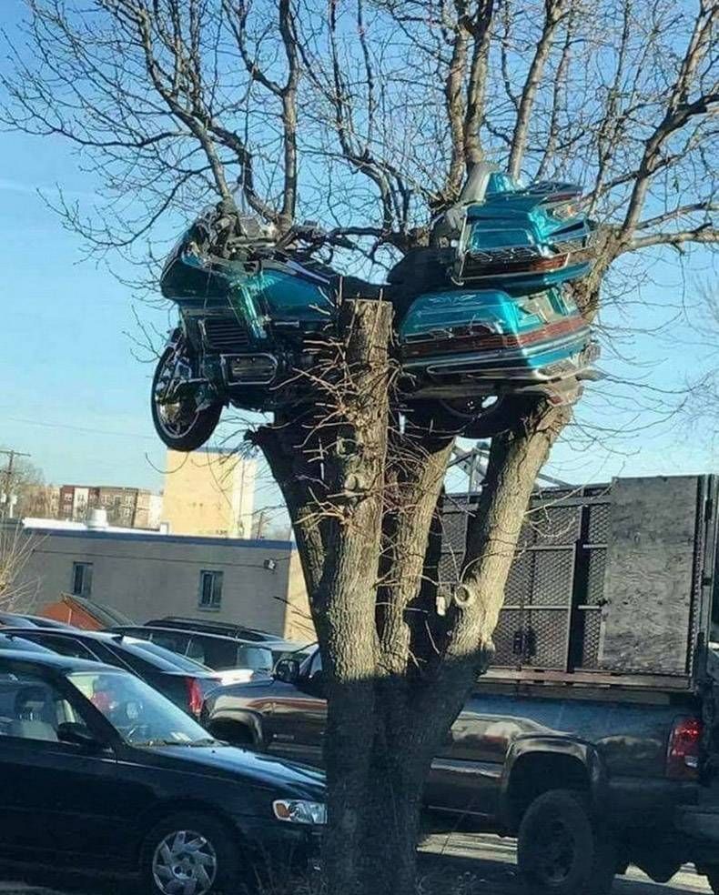 Gewoon een verzameling hilarische foto's #961
