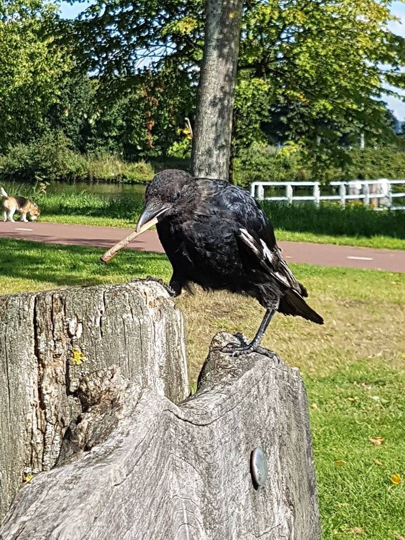 Gewoon een verzameling hilarische foto's #862