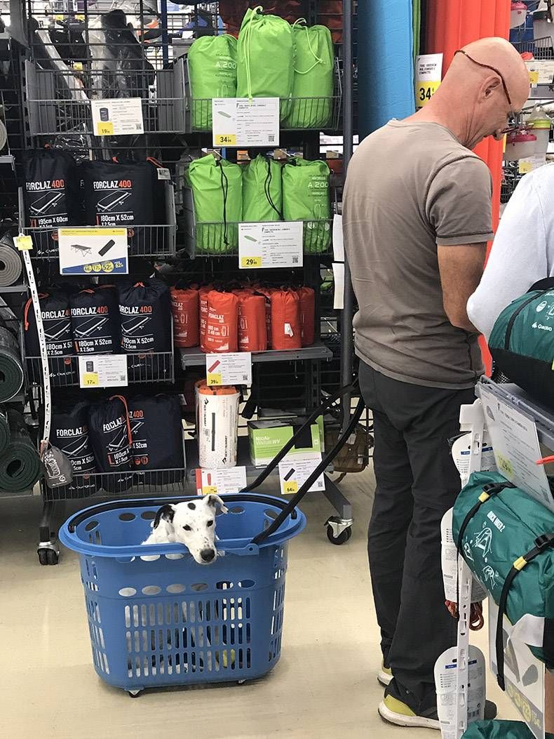 Gewoon een verzameling hilarische foto's #845