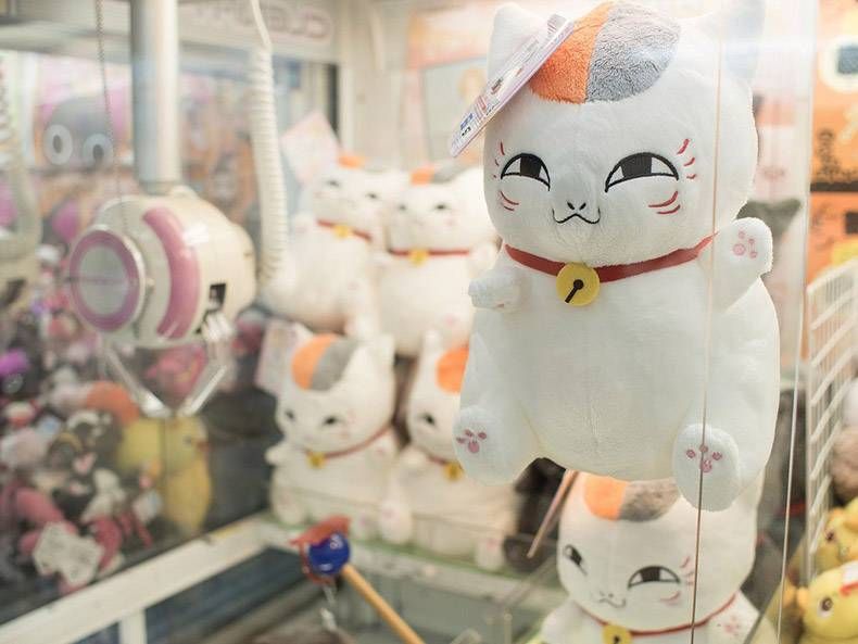 Gewoon een verzameling hilarische foto's #833