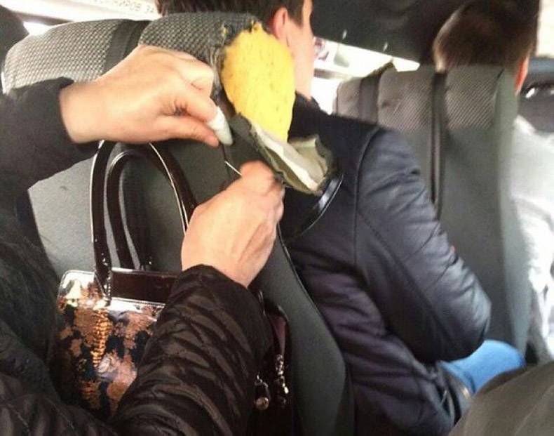 Gewoon een verzameling hilarische foto's #806