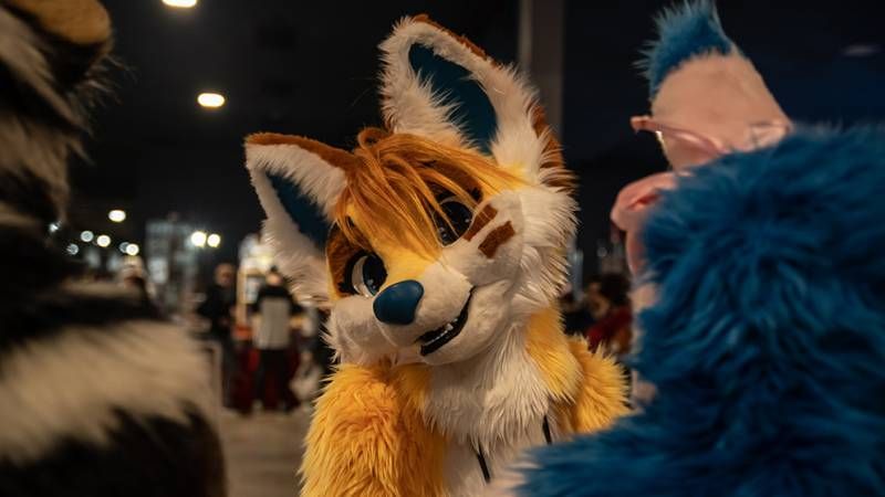 Foto's van Dutch Comic Con 2018 in de Jaarbeurs in Utrecht