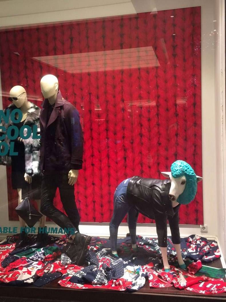 Gewoon een verzameling hilarische foto's #1287