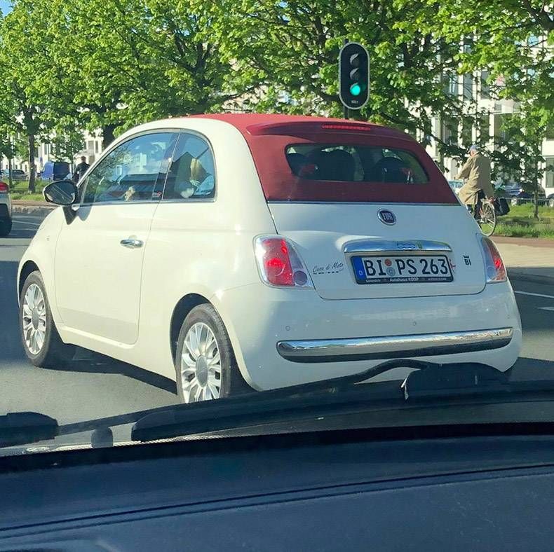 Gewoon een verzameling hilarische foto's #1127