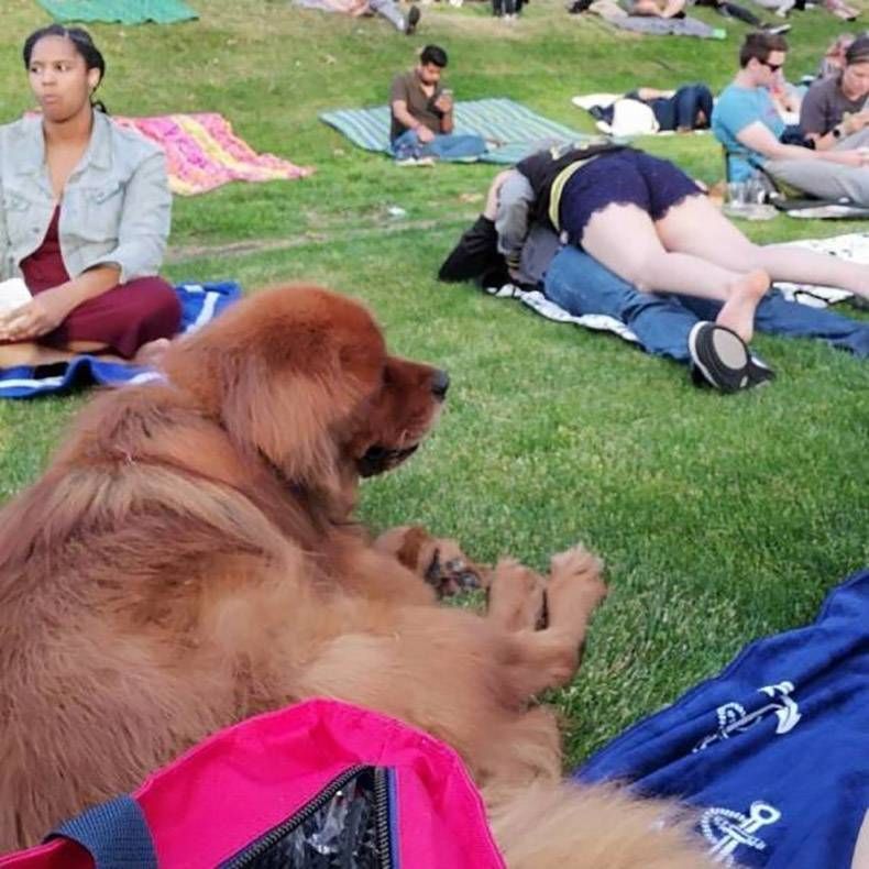 Gewoon een verzameling hilarische foto's #1079