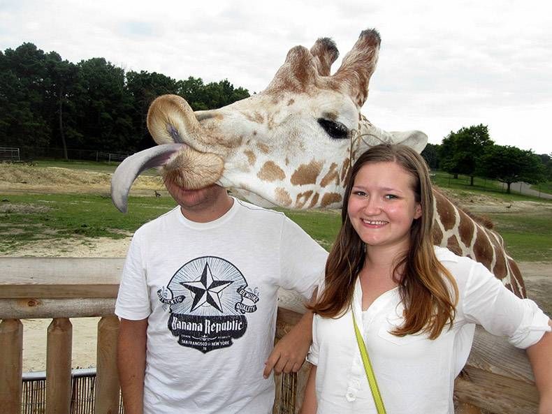Pix Dump #1000 Special: Gewoon een verzameling foto's van dieren