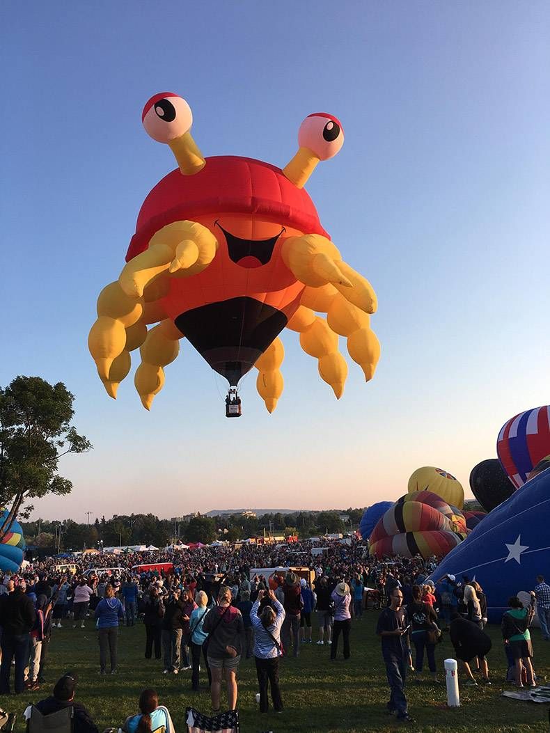 Gewoon een verzameling hilarische foto's #862