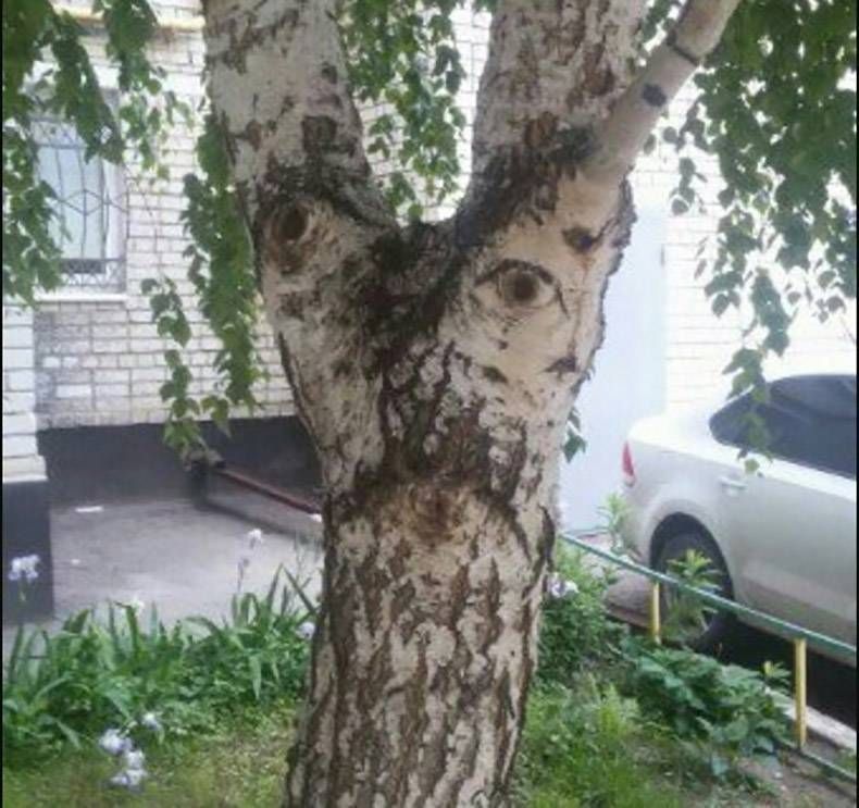 Gewoon een verzameling hilarische foto's #823