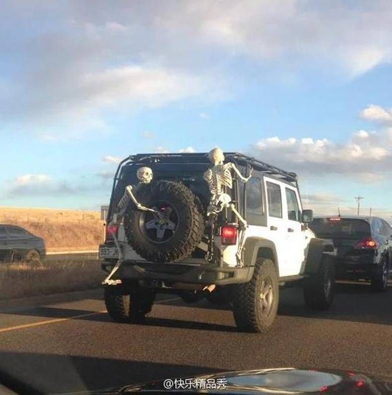 Gewoon een verzameling hilarische foto's #728