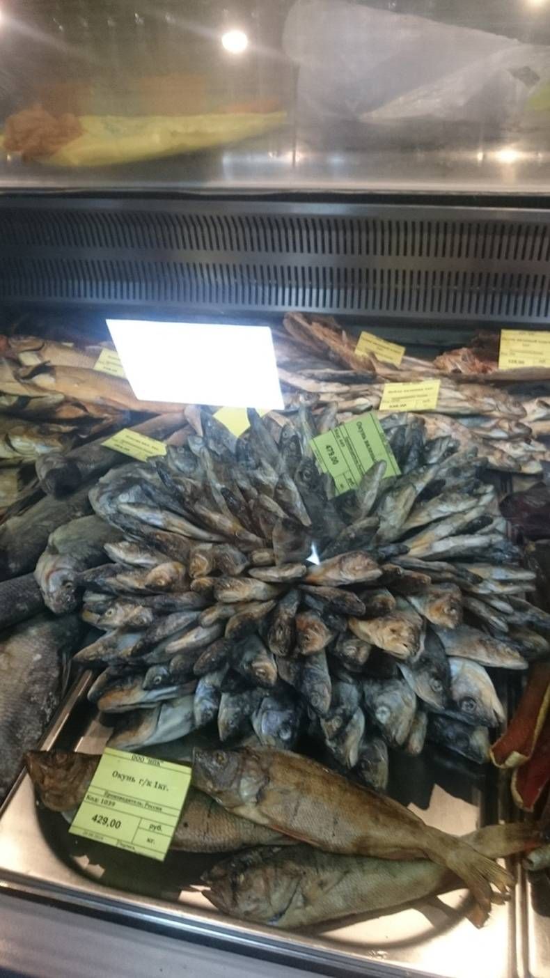 Gewoon een verzameling hilarische foto's #721