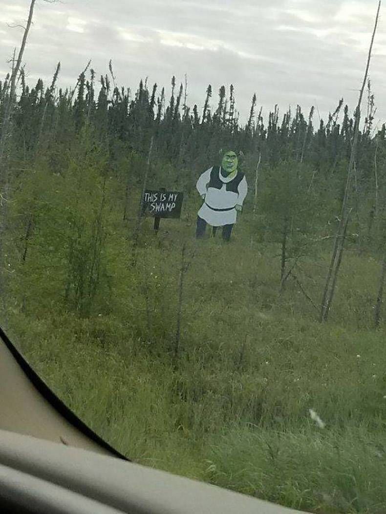 Gewoon een verzameling hilarische foto's #1152