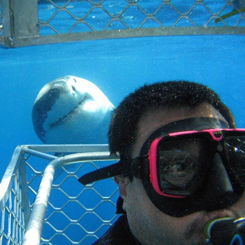 Gewoon een verzameling hilarische foto's #895