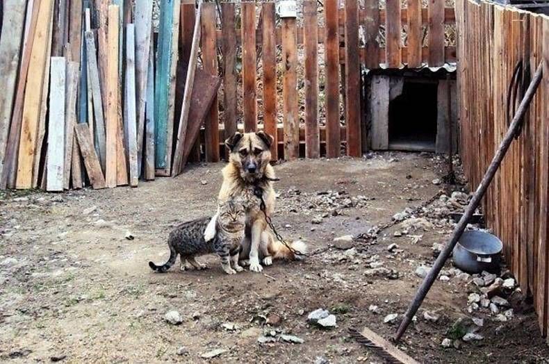 Gewoon een verzameling hilarische foto's #728