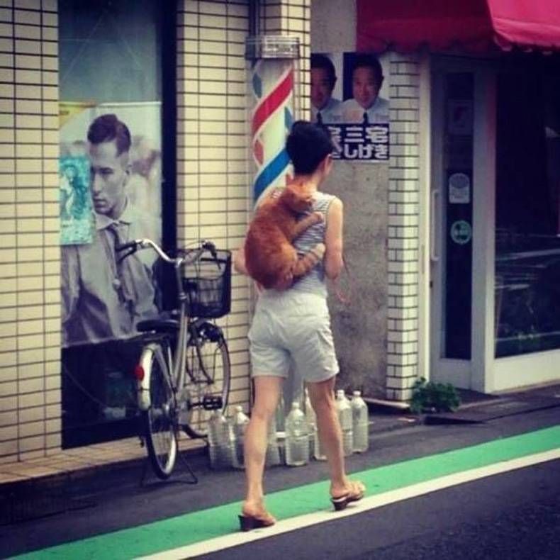 Gewoon een verzameling hilarische foto's #704