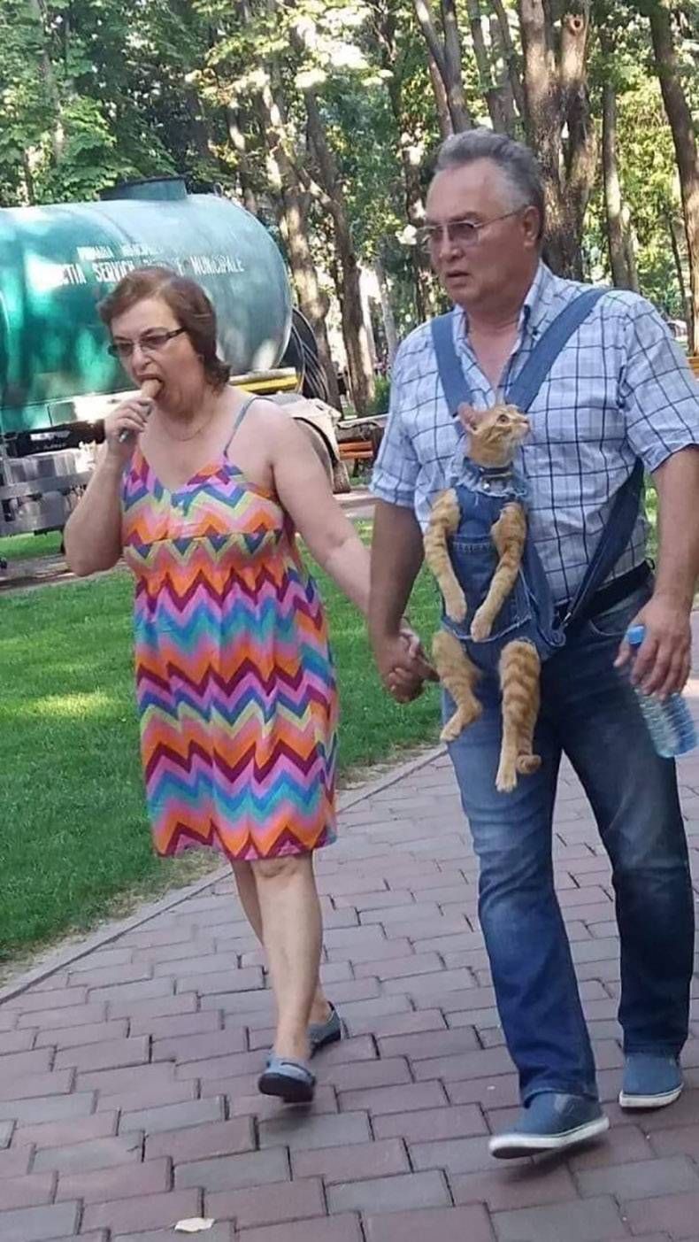 Gewoon een verzameling hilarische foto's #1346