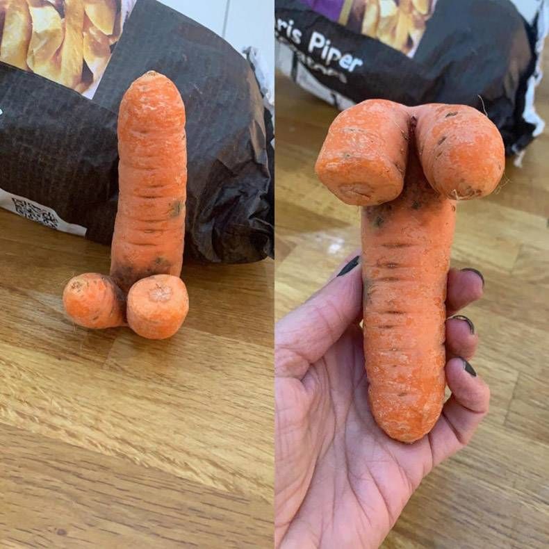 Gewoon een verzameling hilarische foto's #1265