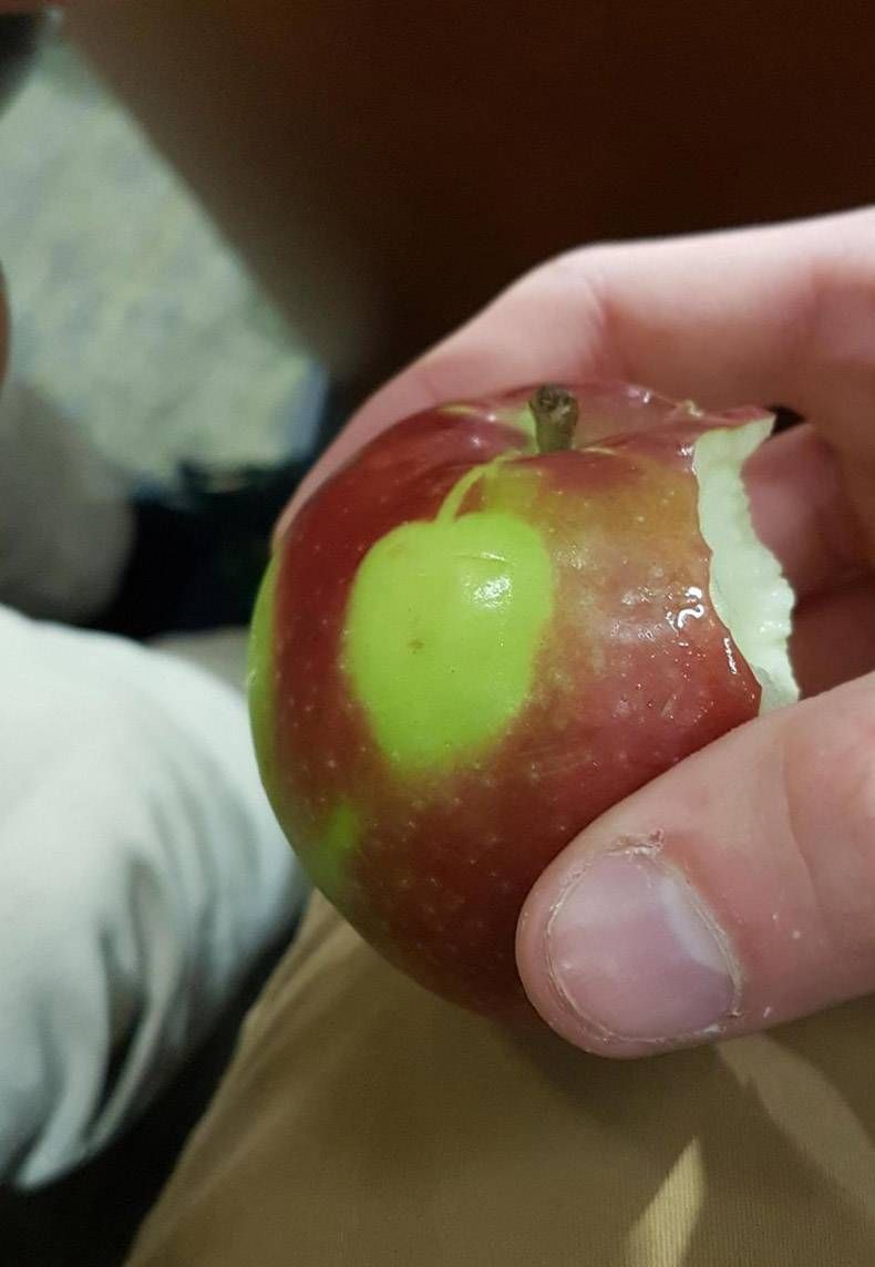 Gewoon een verzameling hilarische foto's #1077