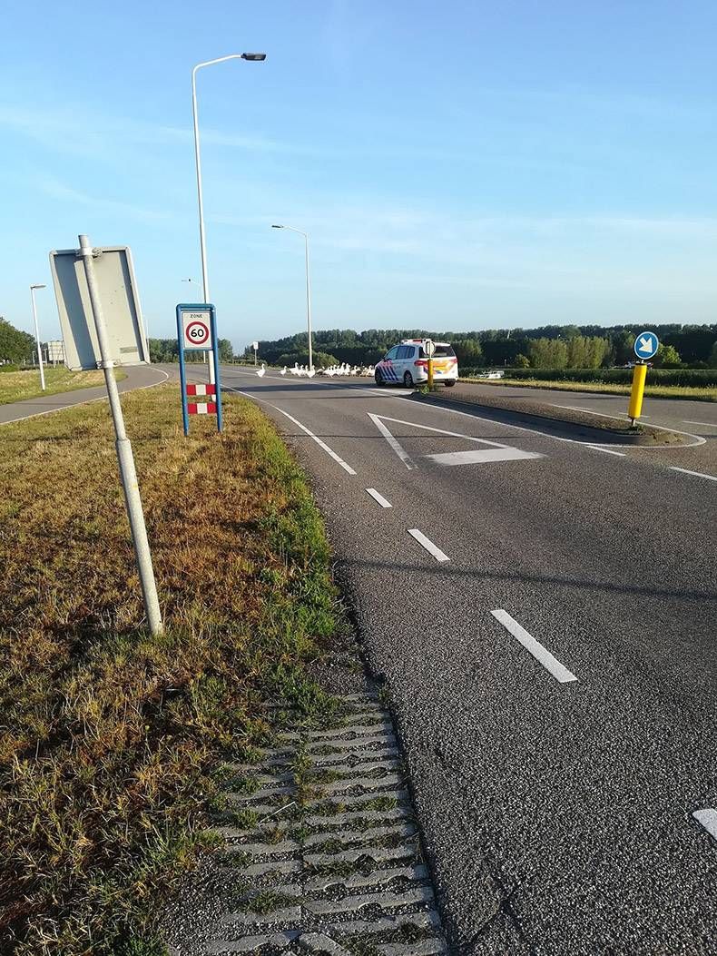 Gewoon een verzameling hilarische foto's #1037