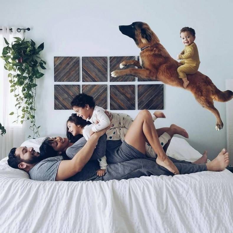 Gewoon een verzameling hilarische foto's #1024