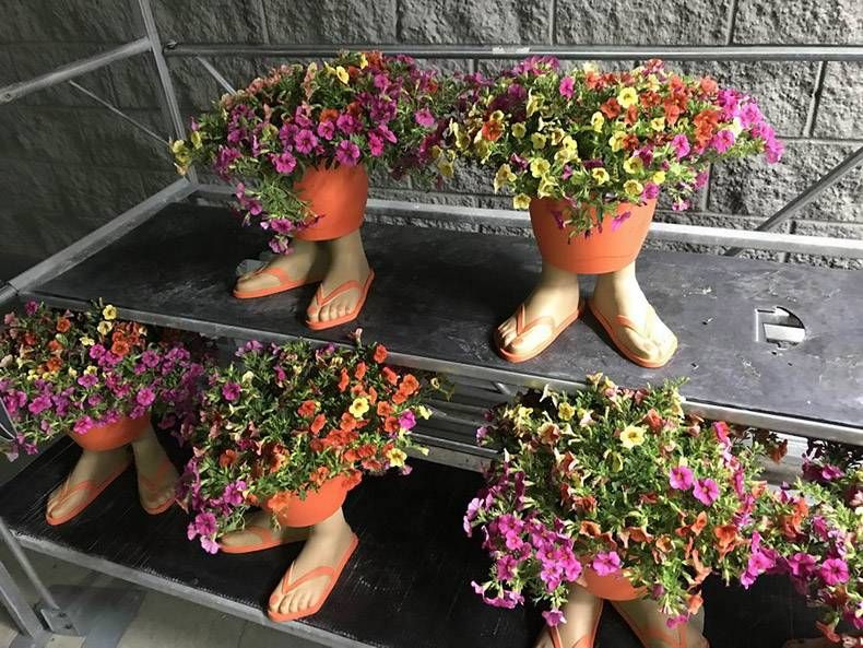 Gewoon een verzameling hilarische foto’s #978