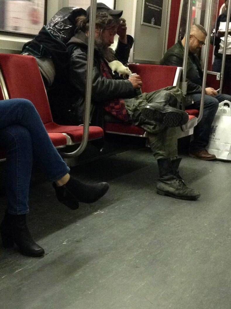 Gewoon een verzameling hilarische foto's #895