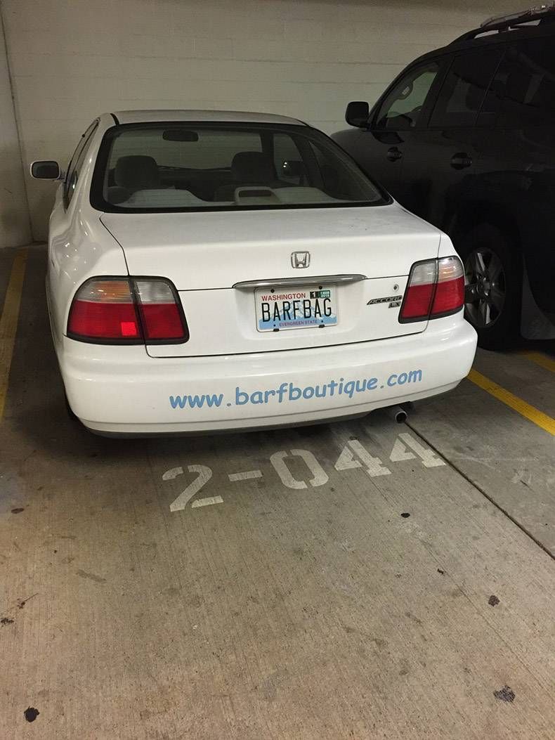 Gewoon een verzameling hilarische foto's #762