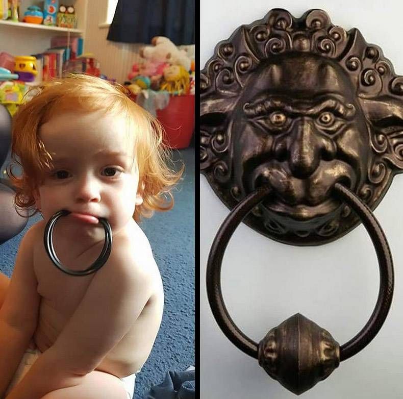 Gewoon een verzameling hilarische foto’s #1336