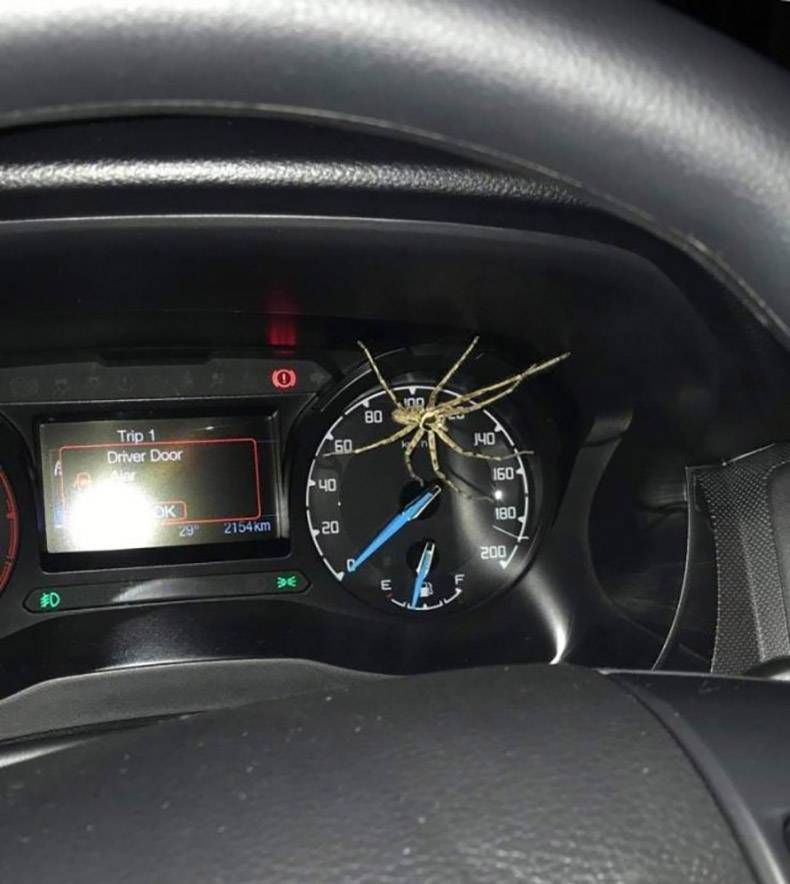 Gewoon een verzameling hilarische foto's #1178