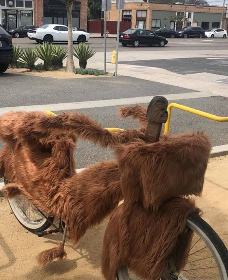 Gewoon een verzameling hilarische foto's #1123