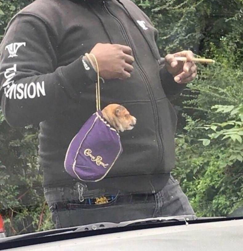 Gewoon een verzameling hilarische foto's #1094