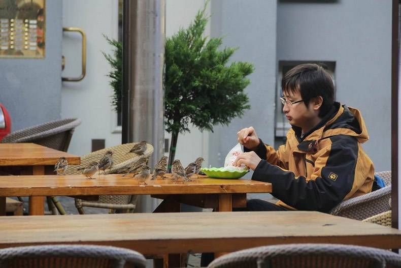 Gewoon een verzameling hilarische foto’s #978