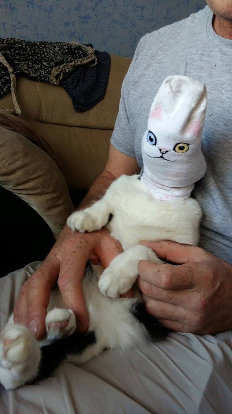 Gewoon een verzameling hilarische foto's #829