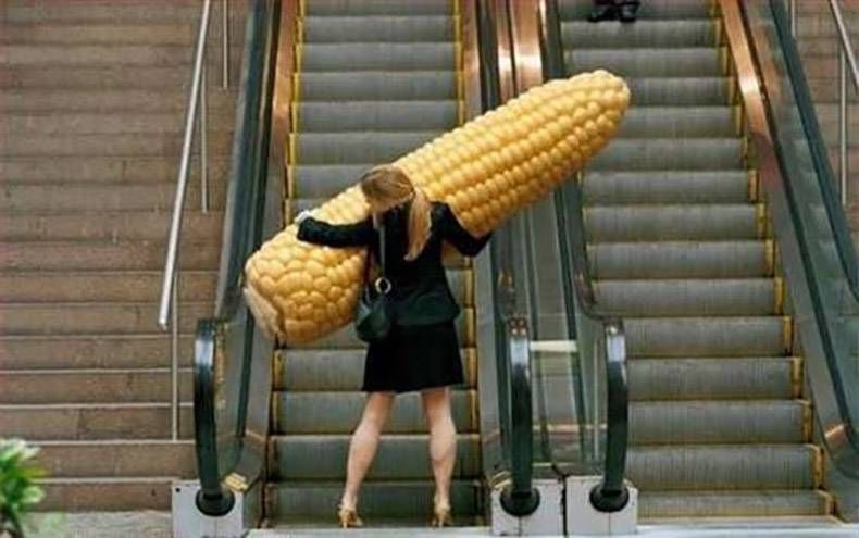 Gewoon een verzameling hilarische foto's #762