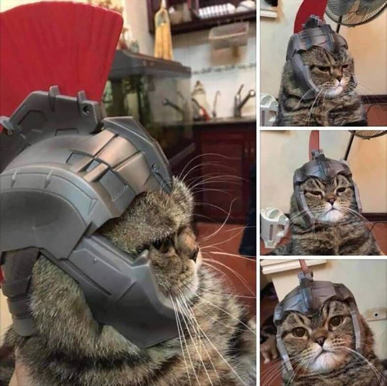 Gewoon een verzameling hilarische foto’s #1364