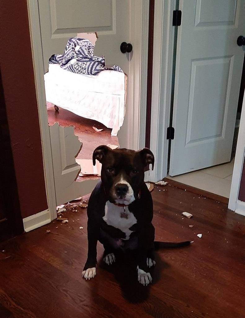 Gewoon een verzameling hilarische foto's #1244