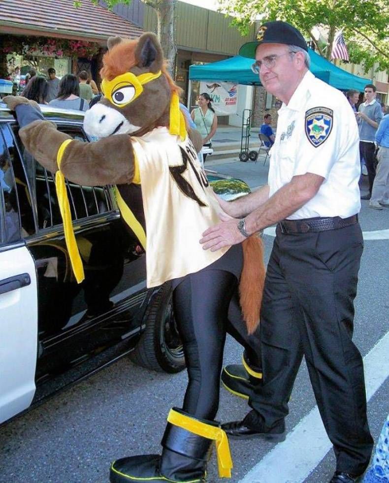 Gewoon een verzameling hilarische foto's #1161