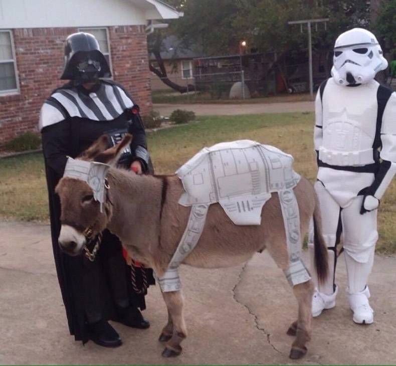 Gewoon een verzameling hilarische foto's #893