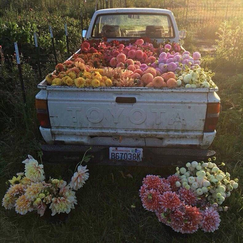 Gewoon een verzameling hilarische foto's #772