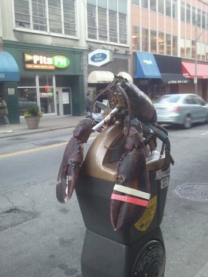 Gewoon een verzameling hilarische foto's #725