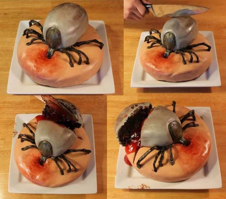 Gewoon een verzameling hilarische foto's #1173