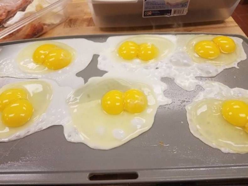 Gewoon een verzameling hilarische foto's #1088