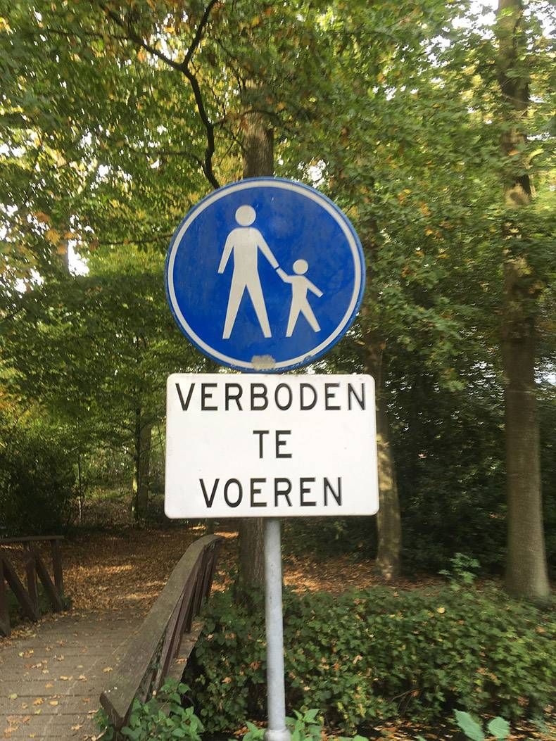 Gewoon een verzameling hilarische foto's #1037