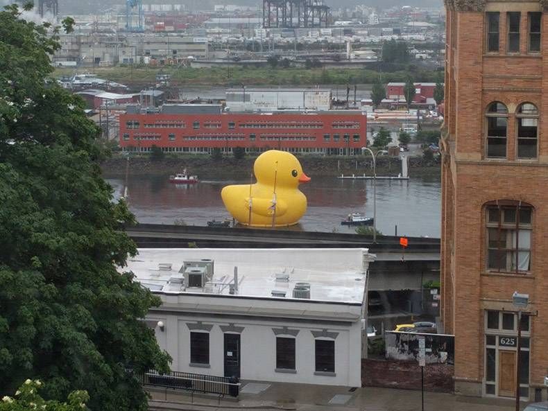 Gewoon een verzameling hilarische foto's #828