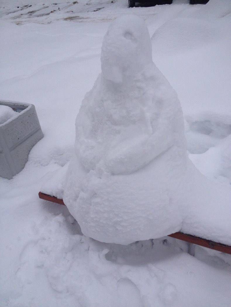 Gewoon een verzameling hilarische foto's #782