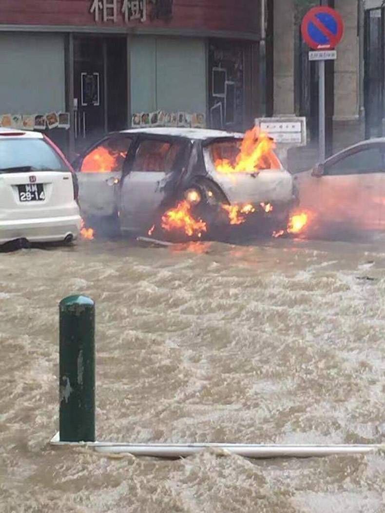 Gewoon een verzameling hilarische foto’s #858