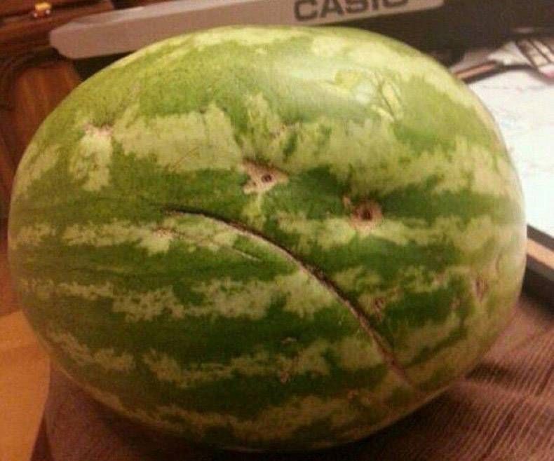 Gewoon een verzameling hilarische foto's #826